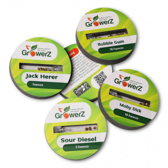 Семена конопли купить сорт Amnesia Fem. Семена конопли купить сорт Amnesia Fem.