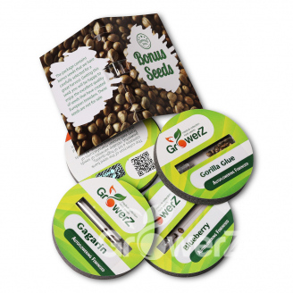 Indica Mix #1 Auto Fem.