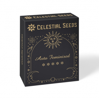 Семена конопли купить сорт AK 47 Auto Fem. Семена конопли купить сорт AK 47 Auto Fem.