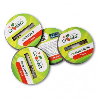 Семена конопли купить сорт Jack Herer Reg. Семена конопли купить сорт Jack Herer Reg.