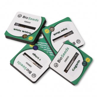 Семена конопли купить сорт Moby Dick Fem. Семена конопли купить сорт Moby Dick Fem.