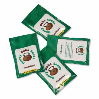 Семена конопли купить сорт Monster Gelato Fem. Семена конопли купить сорт Monster Gelato Fem.