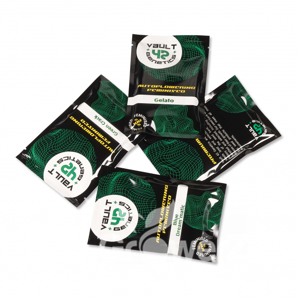 Strawberry Pie Auto Fem.