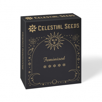 Семена конопли купить сорт White Widow Fem. Семена конопли купить сорт White Widow Fem.