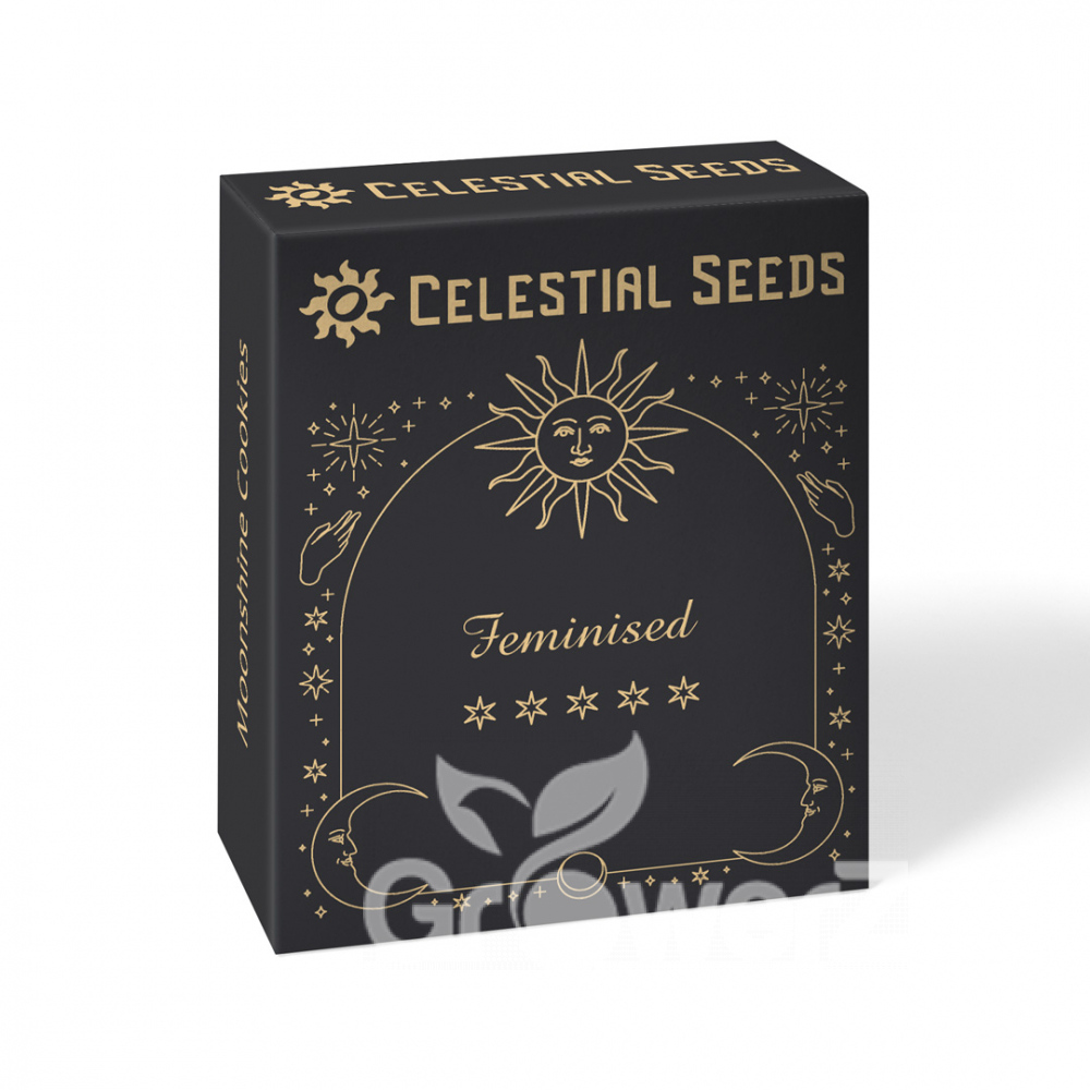 White Widow Fem.